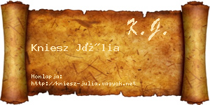 Kniesz Júlia névjegykártya